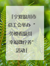 宁夏银川市总工会举办“劳模看银川 幸福微疗养”活动