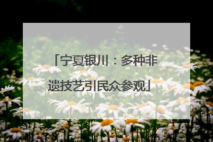 宁夏银川：多种非遗技艺引民众参观