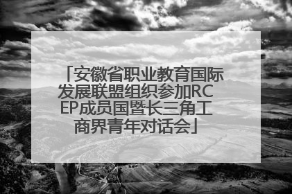 安徽省职业教育国际发展联盟组织参加RCEP成员国暨长三角工商界青年对话会