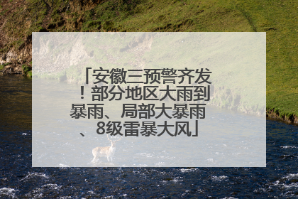 安徽三预警齐发！部分地区大雨到暴雨、局部大暴雨、8级雷暴大风