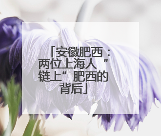 安徽肥西：两位上海人“链上”肥西的背后