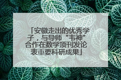 安徽走出的优秀学子，与导师“韦神”合作在数学顶刊发论表重要科研成果