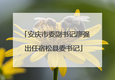 安庆市委副书记廖强出任宿松县委书记