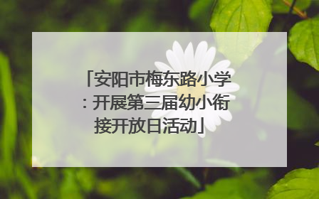 安阳市梅东路小学：开展第三届幼小衔接开放日活动