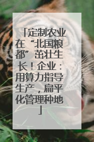 定制农业在“北国粮都”茁壮生长！企业：用算力指导生产，扁平化管理种地