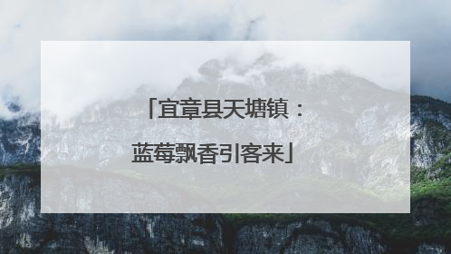宜章县天塘镇：蓝莓飘香引客来