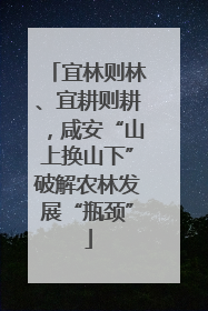 宜林则林、宜耕则耕，咸安“山上换山下”破解农林发展“瓶颈”