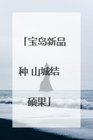 宝岛新品种 山城结硕果