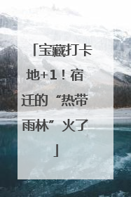 宝藏打卡地+1！宿迁的“热带雨林”火了