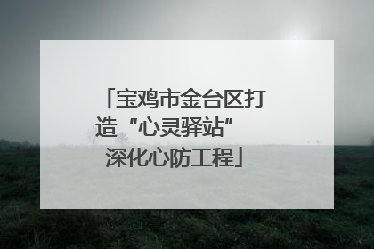 宝鸡市金台区打造“心灵驿站” 深化心防工程
