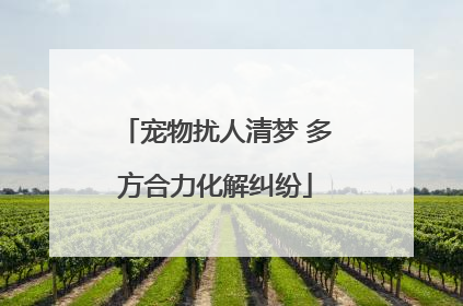 宠物扰人清梦 多方合力化解纠纷