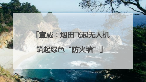 宣威：烟田飞起无人机 筑起绿色“防火墙”