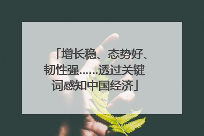 增长稳、态势好、韧性强……透过关键词感知中国经济