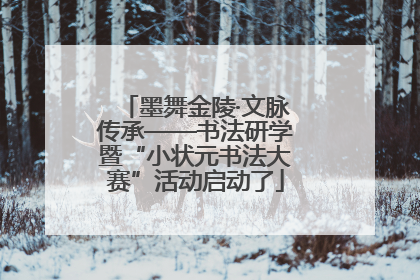 墨舞金陵·文脉传承——书法研学暨“小状元书法大赛”活动启动了