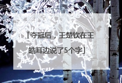 夺冠后，王楚钦在王皓耳边说了5个字