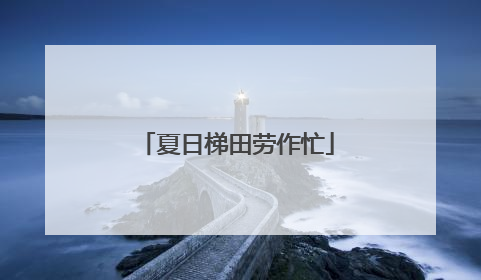 夏日梯田劳作忙