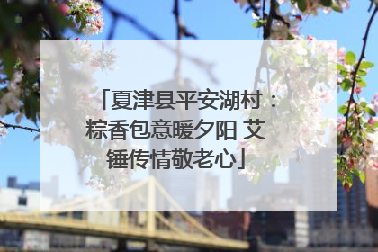 夏津县平安湖村：粽香包意暖夕阳 艾锤传情敬老心