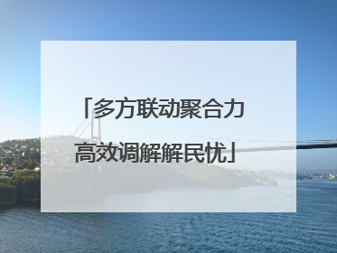 多方联动聚合力 高效调解解民忧