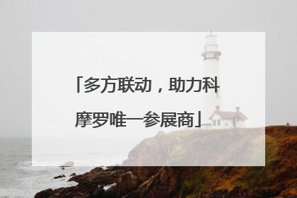 多方联动，助力科摩罗唯一参展商