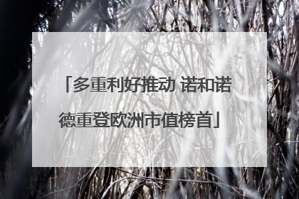 多重利好推动 诺和诺德重登欧洲市值榜首