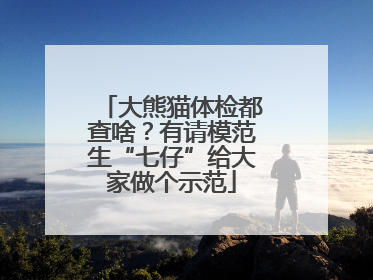 大熊猫体检都查啥？有请模范生“七仔”给大家做个示范
