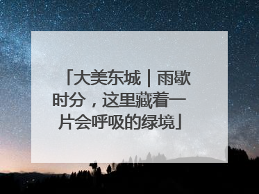 大美东城｜雨歇时分，这里藏着一片会呼吸的绿境