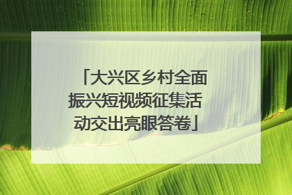 大兴区乡村全面振兴短视频征集活动交出亮眼答卷