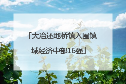 大冶还地桥镇入围镇域经济中部16强