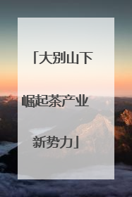 大别山下崛起茶产业新势力