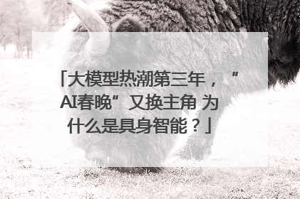 大模型热潮第三年，“AI春晚”又换主角 为什么是具身智能？