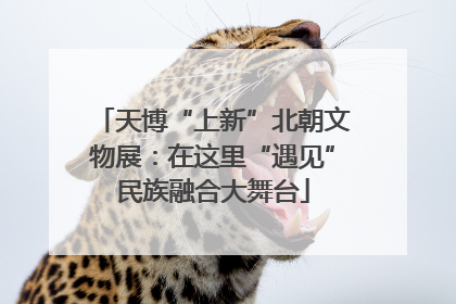 天博“上新”北朝文物展：在这里“遇见”民族融合大舞台