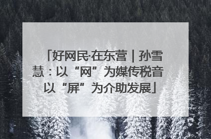 好网民·在东营｜孙雪慧：以“网”为媒传税音 以“屏”为介助发展