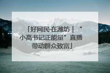 好网民·在潍坊｜“小高书记正能量”直播 带动群众致富
