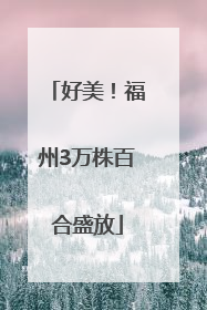 好美！福州3万株百合盛放