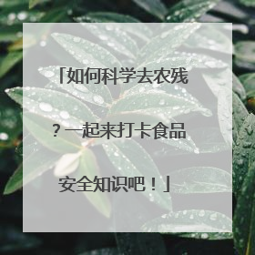 如何科学去农残？一起来打卡食品安全知识吧！