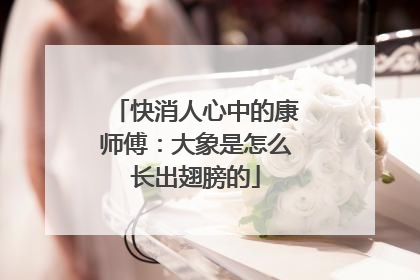 快消人心中的康师傅：大象是怎么长出翅膀的
