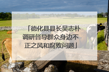 德化县县长吴志朴调研督导群众身边不正之风和腐败问题