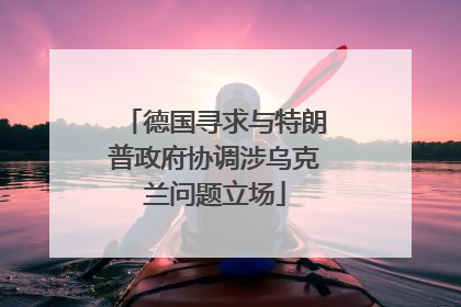 德国寻求与特朗普政府协调涉乌克兰问题立场