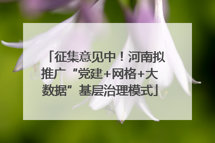 征集意见中！河南拟推广“党建+网格+大数据”基层治理模式