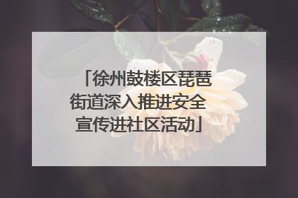 徐州鼓楼区琵琶街道深入推进安全宣传进社区活动
