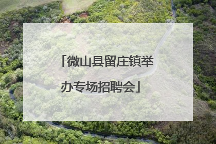 微山县留庄镇举办专场招聘会