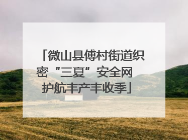 微山县傅村街道织密“三夏”安全网 护航丰产丰收季