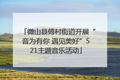 微山县傅村街道开展“音为有你 遇见美好”521主题音乐活动