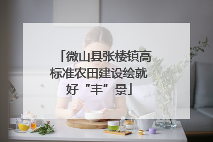 微山县张楼镇高标准农田建设绘就好“丰”景