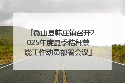 微山县韩庄镇召开2025年度夏季秸秆禁烧工作动员部署会议