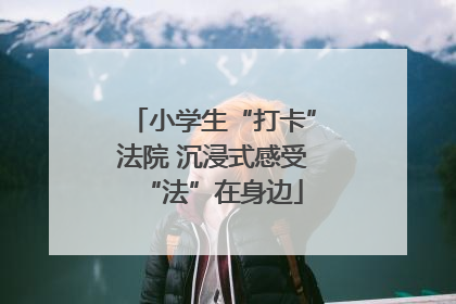 小学生“打卡”法院 沉浸式感受“法”在身边