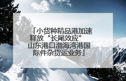 小货种精品港加速释放“长尾效应” 山东港口渤海湾港国际件杂货运业务