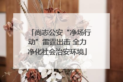 尚志公安“净场行动”雷霆出击 全力净化社会治安环境
