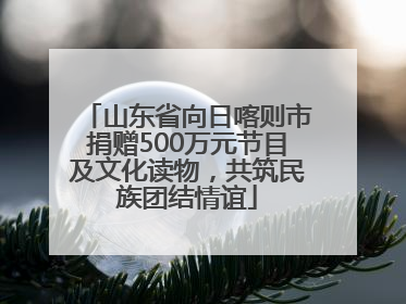山东省向日喀则市捐赠500万元节目及文化读物，共筑民族团结情谊