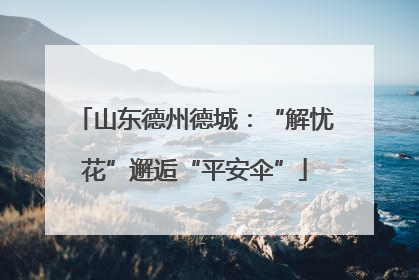 山东德州德城：“解忧花”邂逅“平安伞”